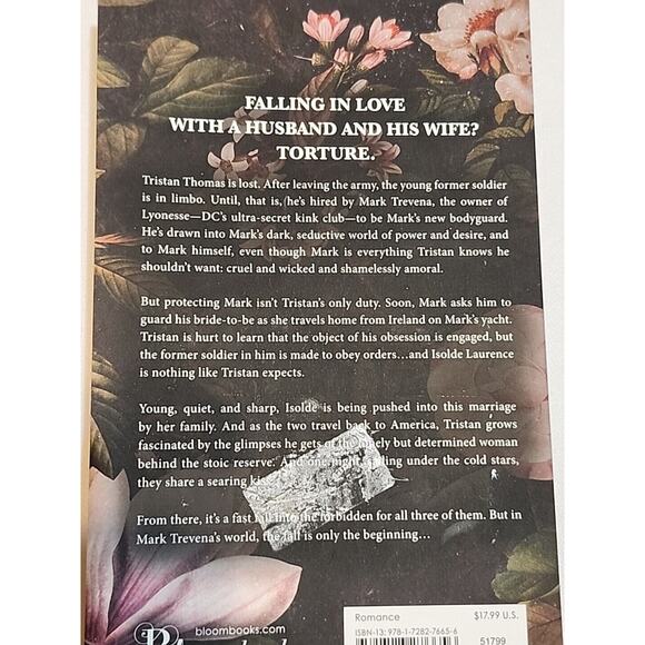 Salt Kisses the Lyonesse Trilogy by Sierra Simone USA Today Bestseller 2023 Pape - Picture 5 of 10